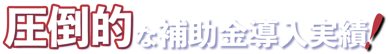 ヴィスタジャパンの補助金